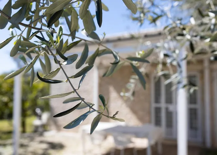B&B Samarelle - Exclusive Villa With Garden And Panoramic Terrace - Molfetta