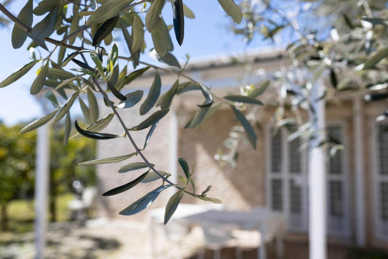 B&B Samarelle - Exclusive Villa With Garden And Panoramic Terrace - Molfetta Villa Molfetta